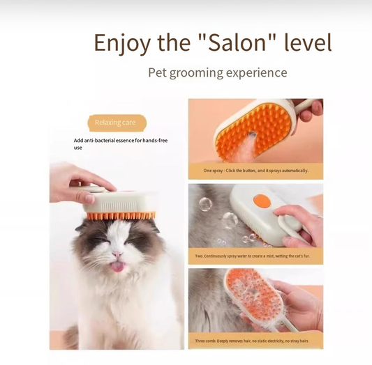 Brosse de massage et vaporisation