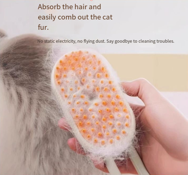 Brosse de massage et vaporisation