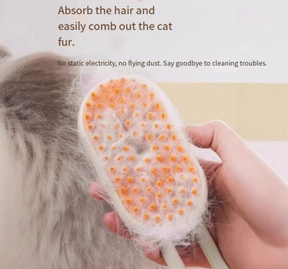 Brosse de massage et vaporisation