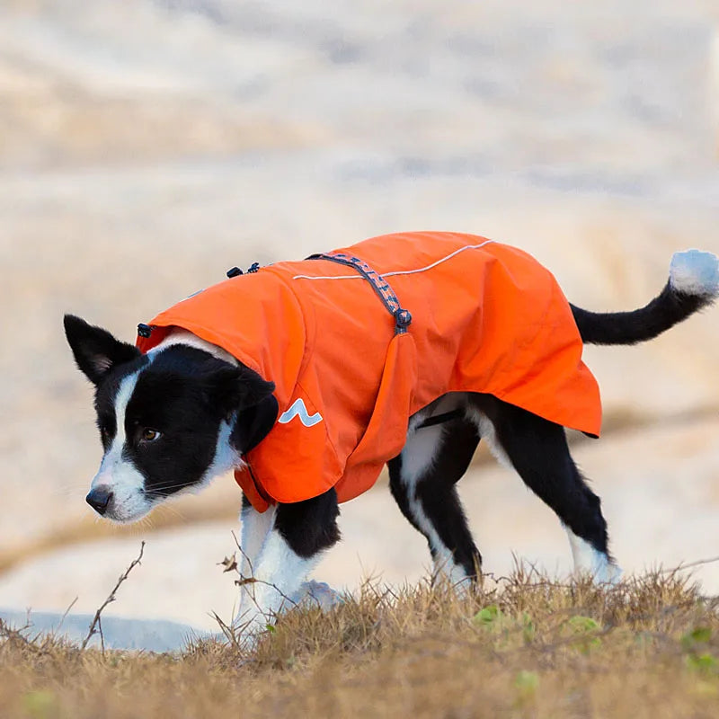TRUELOVE Pet Clothing Waterproof Windbreaker Detachable Jacket Clothes for Dogs Fashion Patterns Soft Pet Raincoat Coat YG1872
