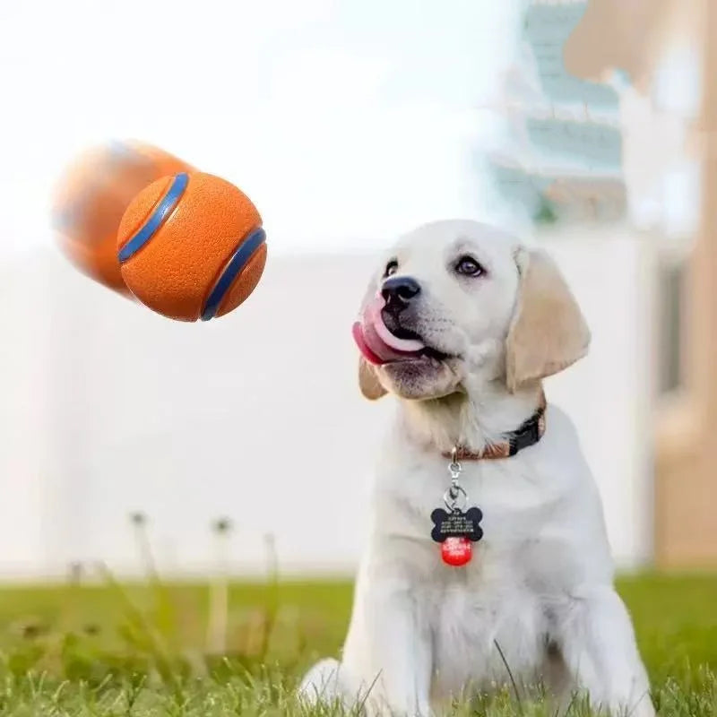 Tough Dog Toy Ball Chew Proof Elastic Jumping Fetch Ball for Large Medium Small Dogs Puppy Pet Chew Toy Solid Pet Accessories