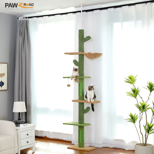 Arbre à Chat 5 Niveaux du Sol au Plafond - Design Cactus