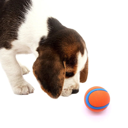 Tough Dog Toy Ball Chew Proof Elastic Jumping Fetch Ball for Large Medium Small Dogs Puppy Pet Chew Toy Solid Pet Accessories