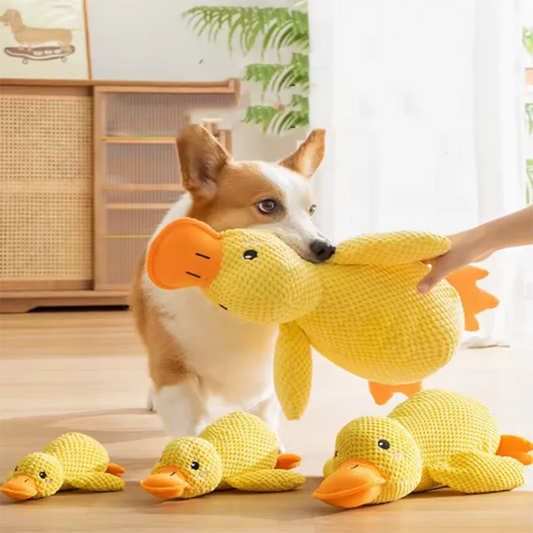 Peluche canard à croquer pour chien, jouet sonore anti-ennui
