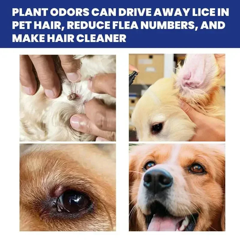 Pet Flea Removing Spray for Cats and Dogs Skin Cleaning for Pets External Lice Repelling Ticks Relieving and Relieving Spray