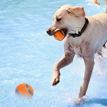 Tough Dog Toy Ball Chew Proof Elastic Jumping Fetch Ball for Large Medium Small Dogs Puppy Pet Chew Toy Solid Pet Accessories