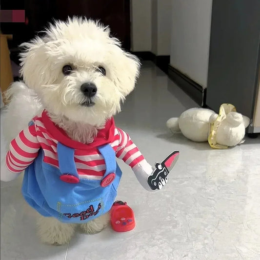 Déguisement d'Halloween rigolo pour chien, petites et moyennes races