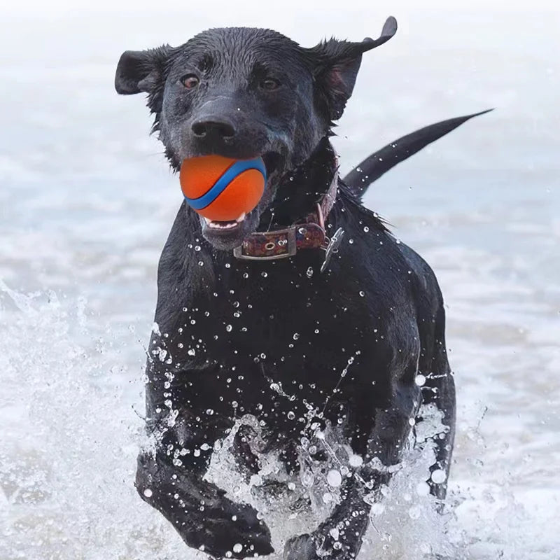 Tough Dog Toy Ball Chew Proof Elastic Jumping Fetch Ball for Large Medium Small Dogs Puppy Pet Chew Toy Solid Pet Accessories