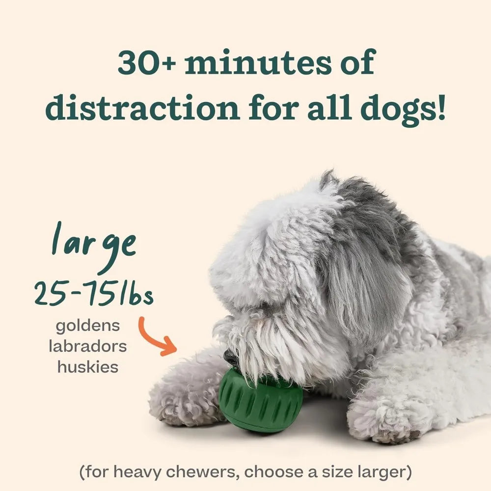 Pupsicle & Treat Tray Long-Lasting Interactive Dog Ball Toy Silicone Dog Treat Mold Keep Your Pup Busy Anti Chew Easy Clean Toys