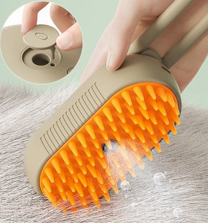 Brosse de massage et vaporisation
