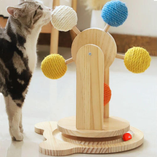 Jouet chat grande roue interactive
