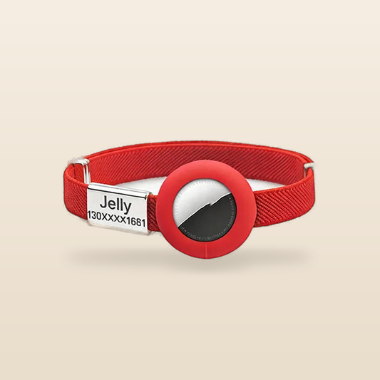 Collier Chat Élastique avec Support AirTag Personnalisable