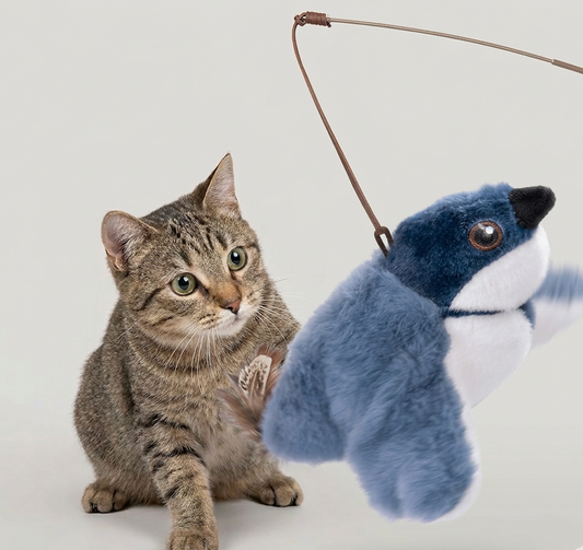 Jouet oiseau volant pour chat